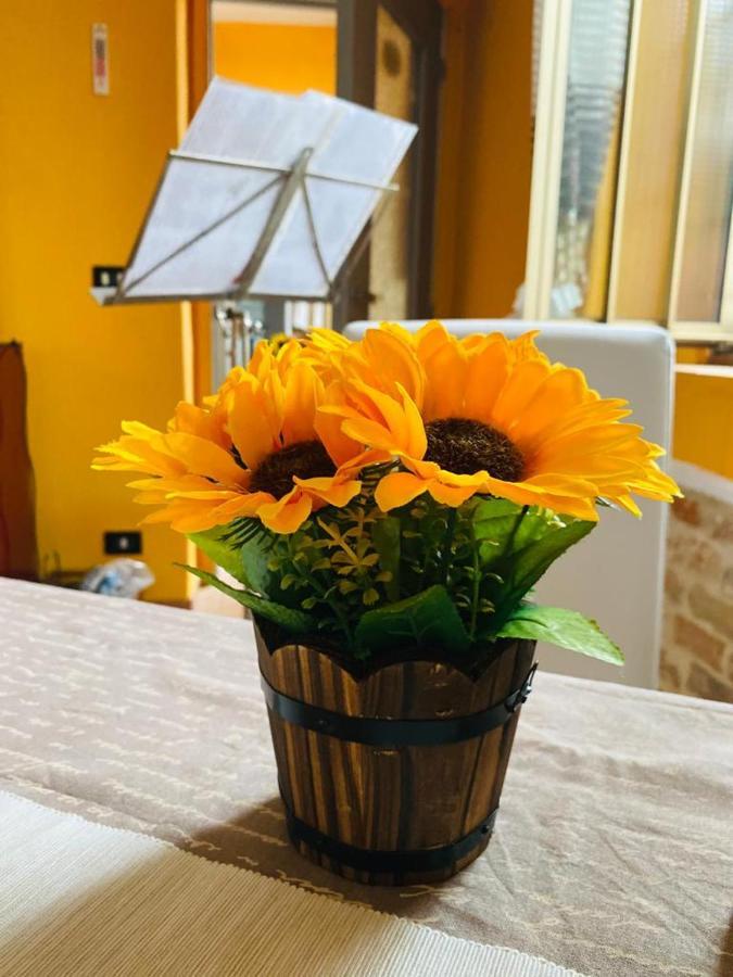 A Casa Di Anna Panzió Vaglio Serra Kültér fotó