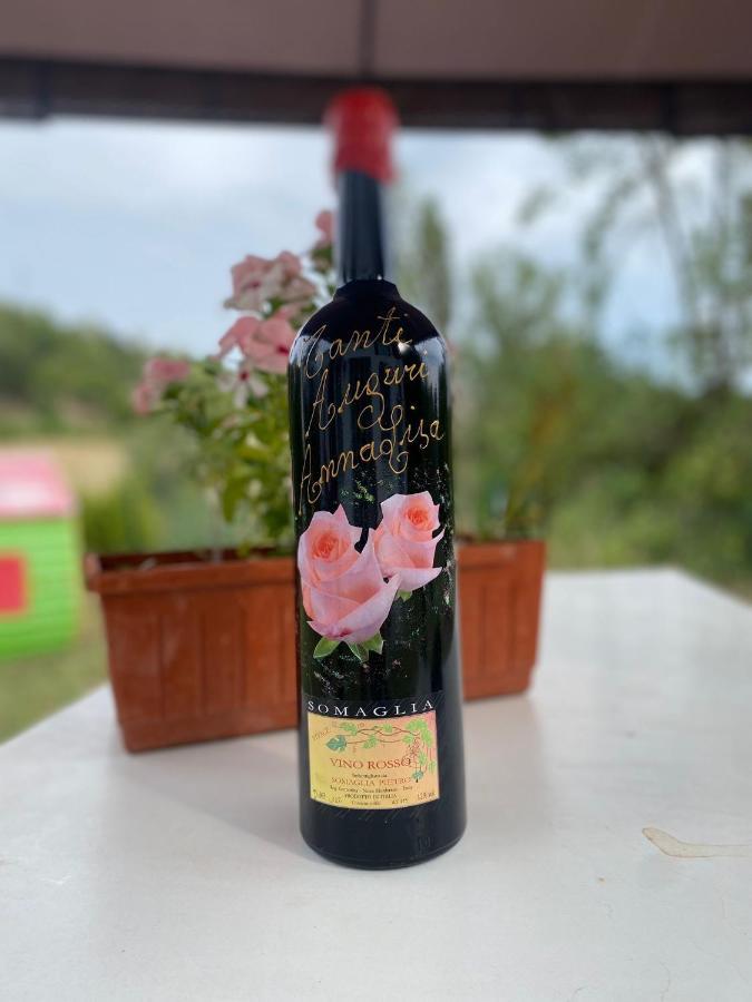 A Casa Di Anna Panzió Vaglio Serra Kültér fotó